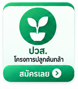 ปวส. ต้นกล้า